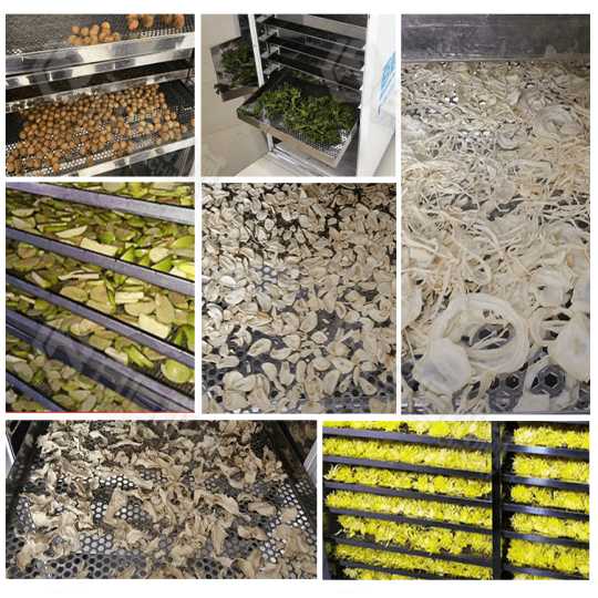seafood hot air dryer